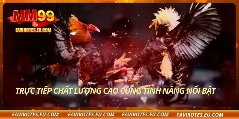Trực tiếp chất lượng cao cùng tính năng nổi bật