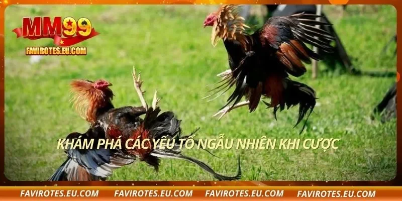 Khám phá các yếu tố ngẫu nhiên khi cược